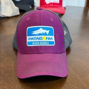 Patagonia Purple Mesh Cap
